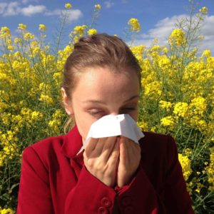 Hanf - der Allergiker-Freund